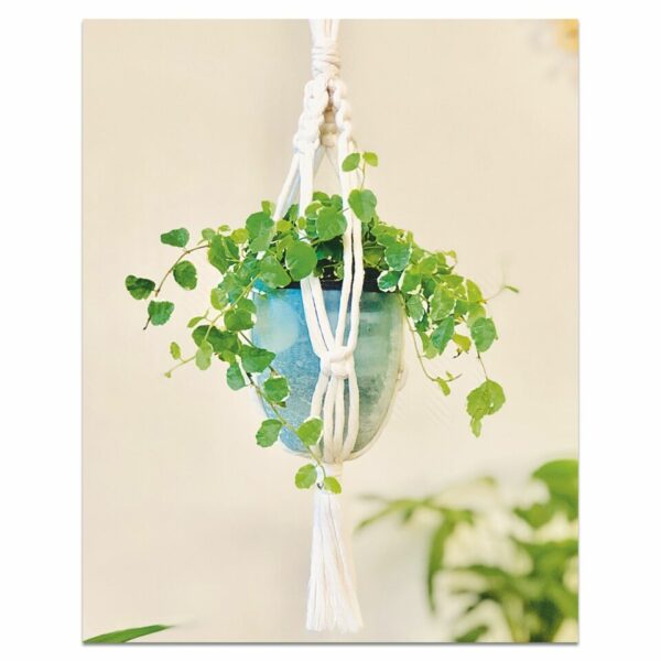 Mini suspension macramé